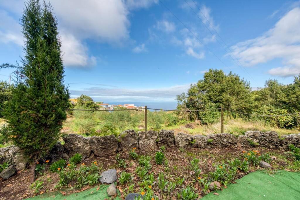 Finca El Molledo El Patio Lejlighed Icod De Los Vinos Eksteriør billede